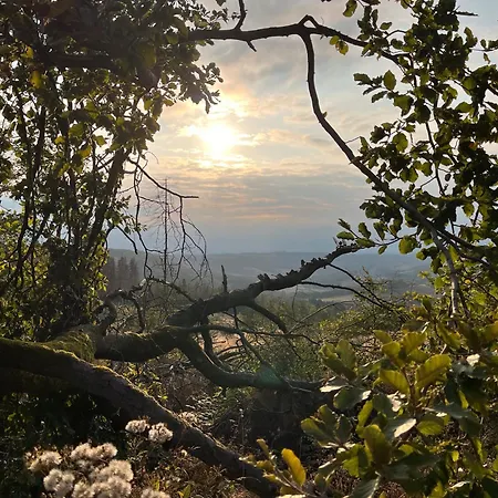 Dom wakacyjny Haus Blumenglueck